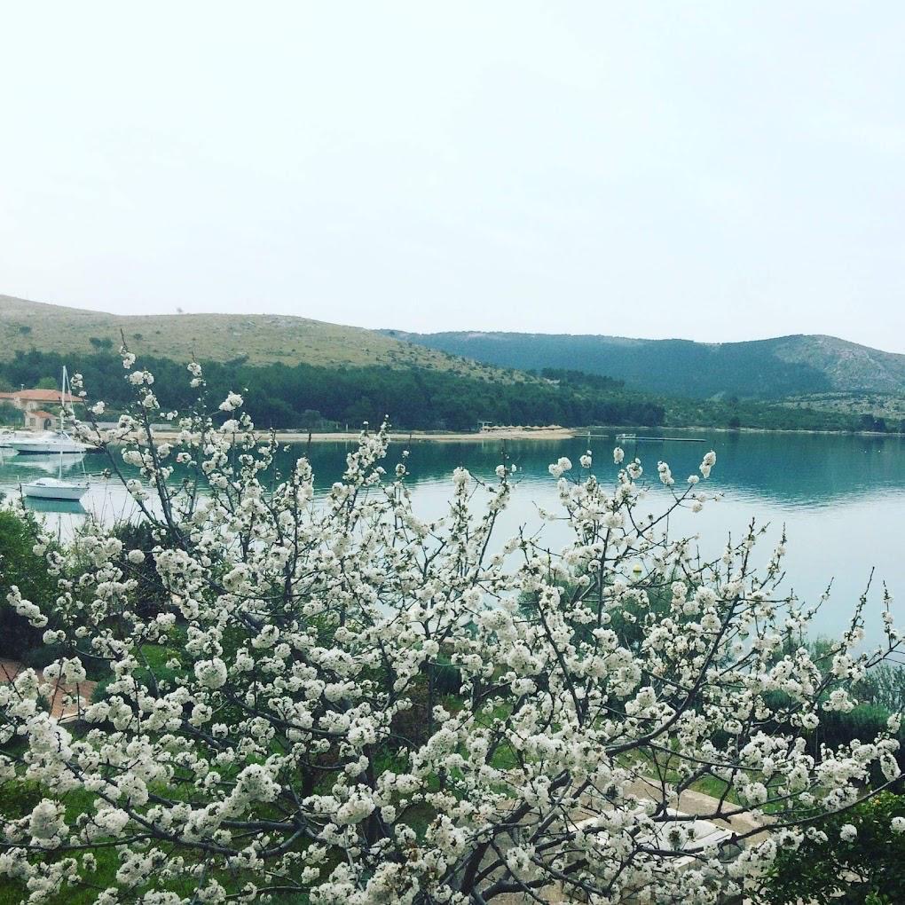 Helyi étterem terasz